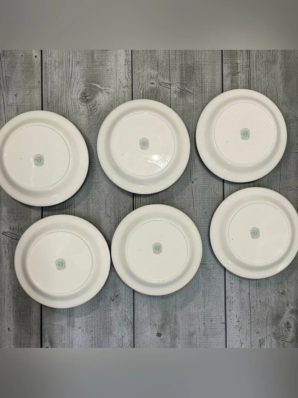 Vintage Portmeirion Birds of Britain 11” Plates Set of 6 Green Band 1978